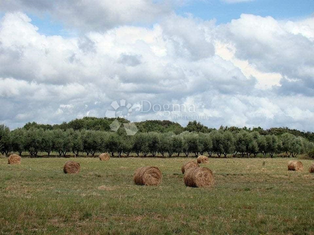 Terreno Ližnjan, 16.000m2