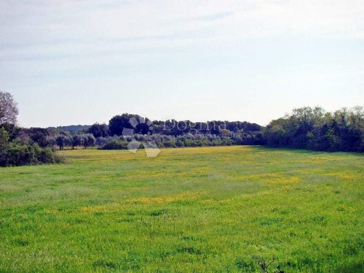 Terreno Ližnjan, 16.000m2