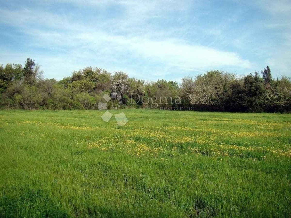 Terreno Ližnjan, 16.000m2