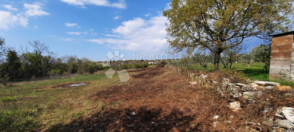 Terreno Vodnjan, 5.053m2