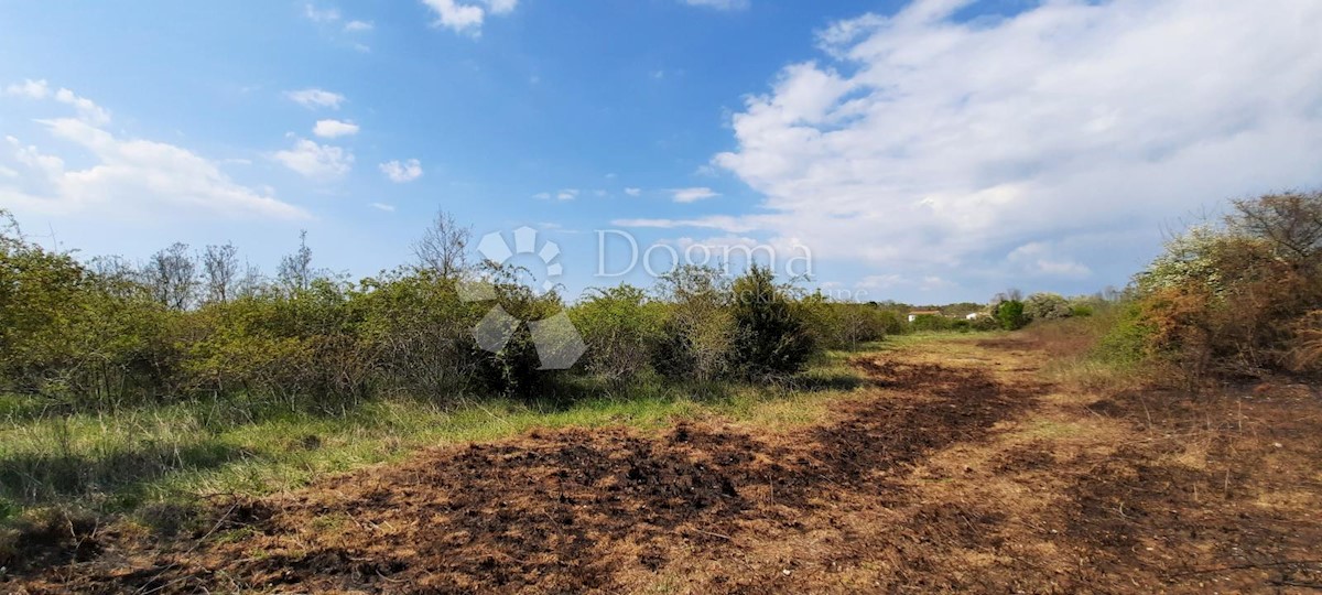 Terreno Vodnjan, 5.053m2