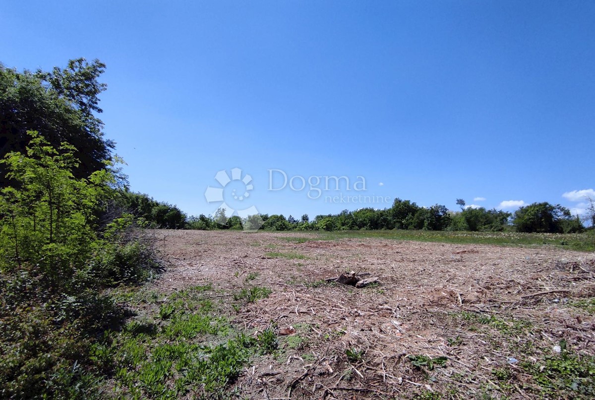 Terreno Labin, 51.658m2