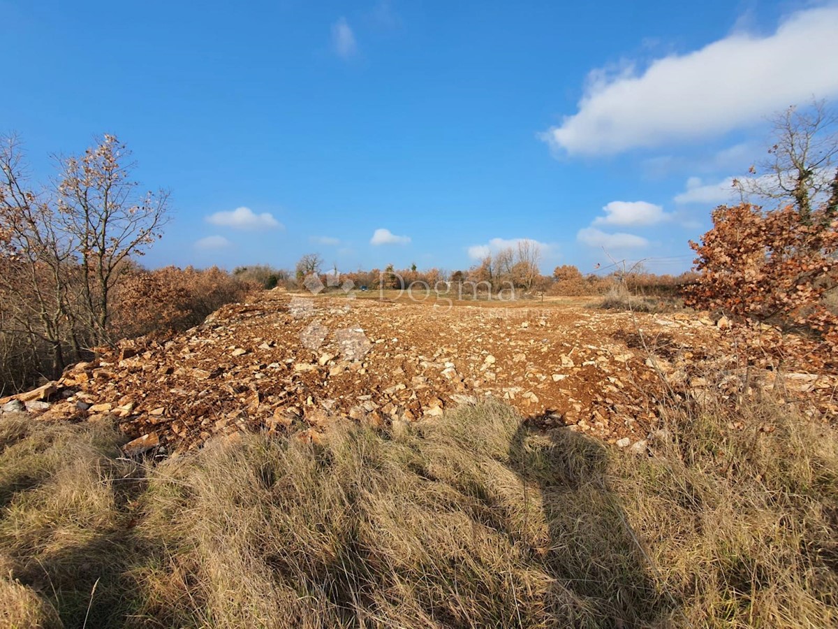 COMPLESSO DI TERRENI EDILIZI E AGRICOLO AD ELEVATO POTENZIALE