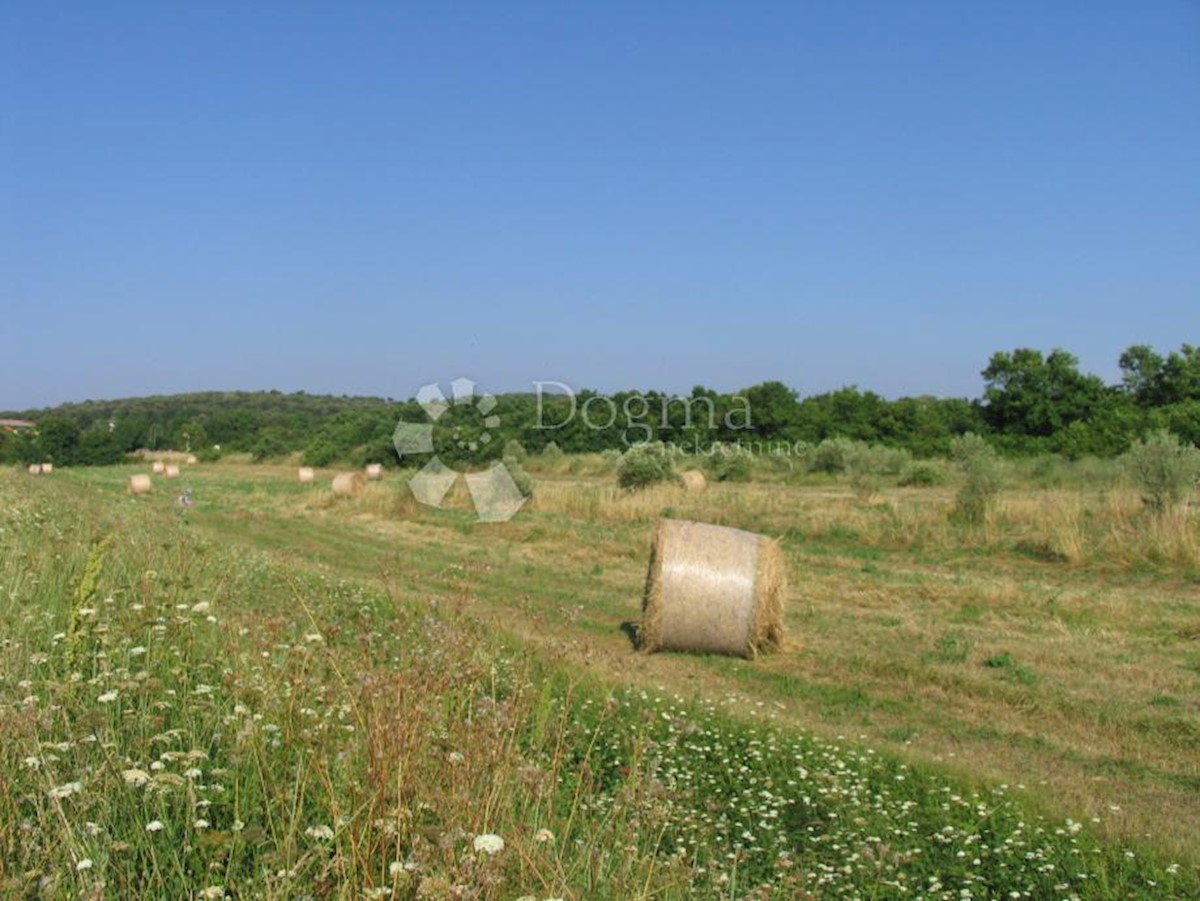 Terreno Rovinj, 9.743m2