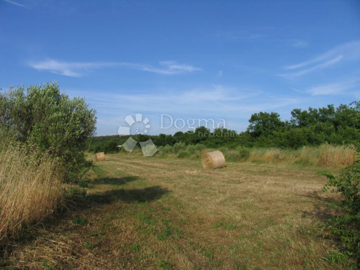 Terreno Rovinj, 9.743m2