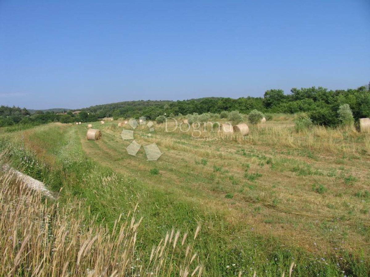 Terreno Rovinj, 9.743m2