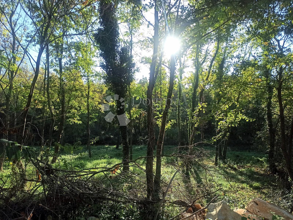 Terreno Žminj, 2.326m2