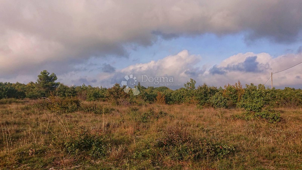 Terreno Vodnjan, 8.583m2