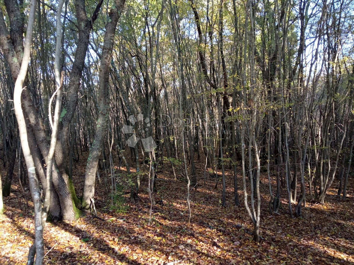 Terreno Rakalj, Marčana, 5.028m2