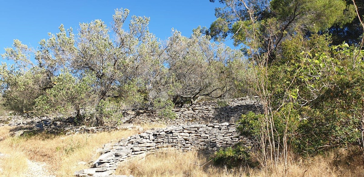 Terreno Vela Luka, 476m2