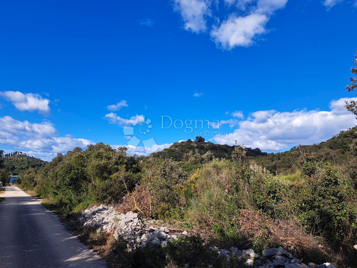 PELJEŠAC - TERRENO EDIFICABILE, VICINANZA DIRETTA AL MARE