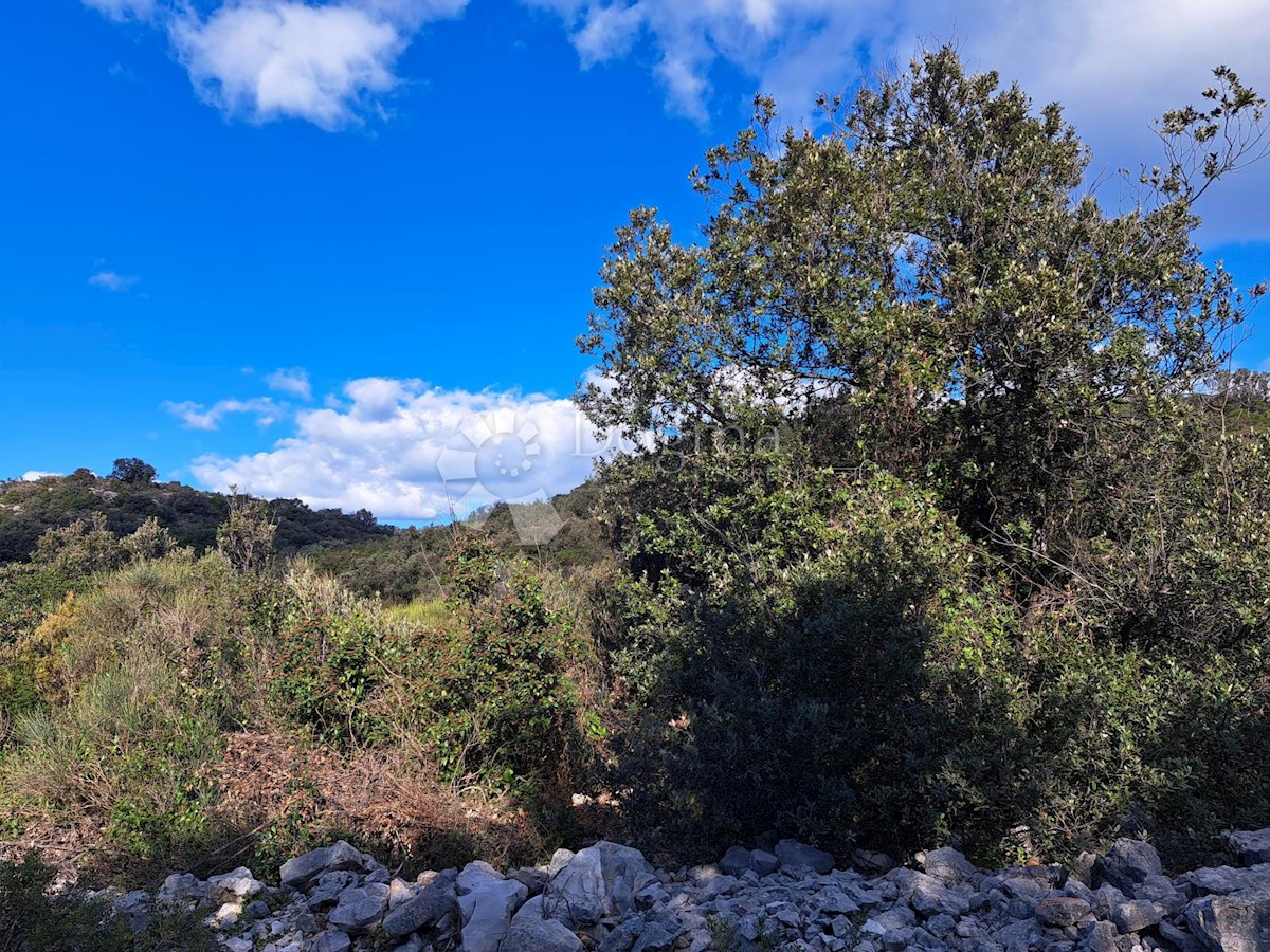 PELJEŠAC - TERRENO EDIFICABILE, VICINANZA DIRETTA AL MARE