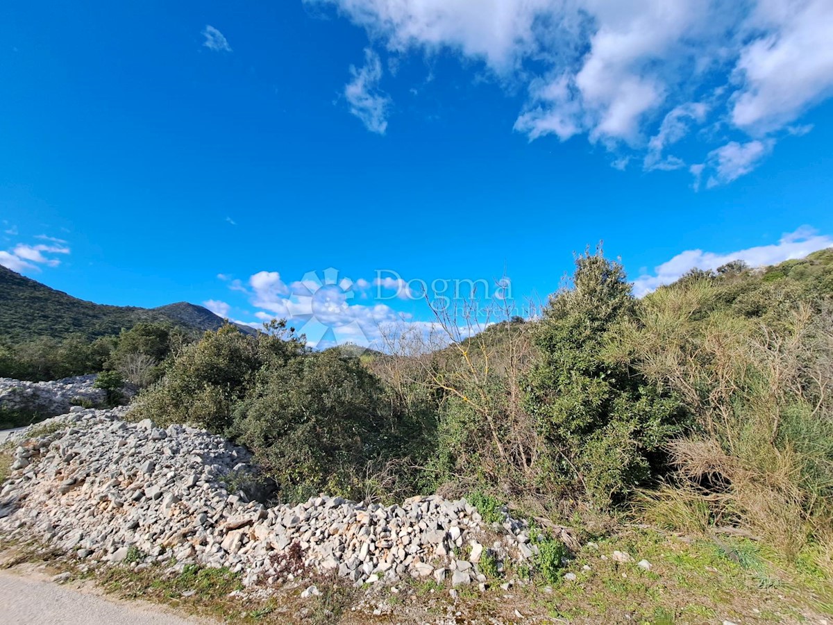 PELJEŠAC - TERRENO EDIFICABILE, VICINANZA DIRETTA AL MARE