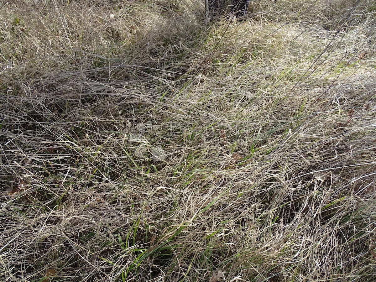 Terreno Juršići, Svetvinčenat, 3.500m2