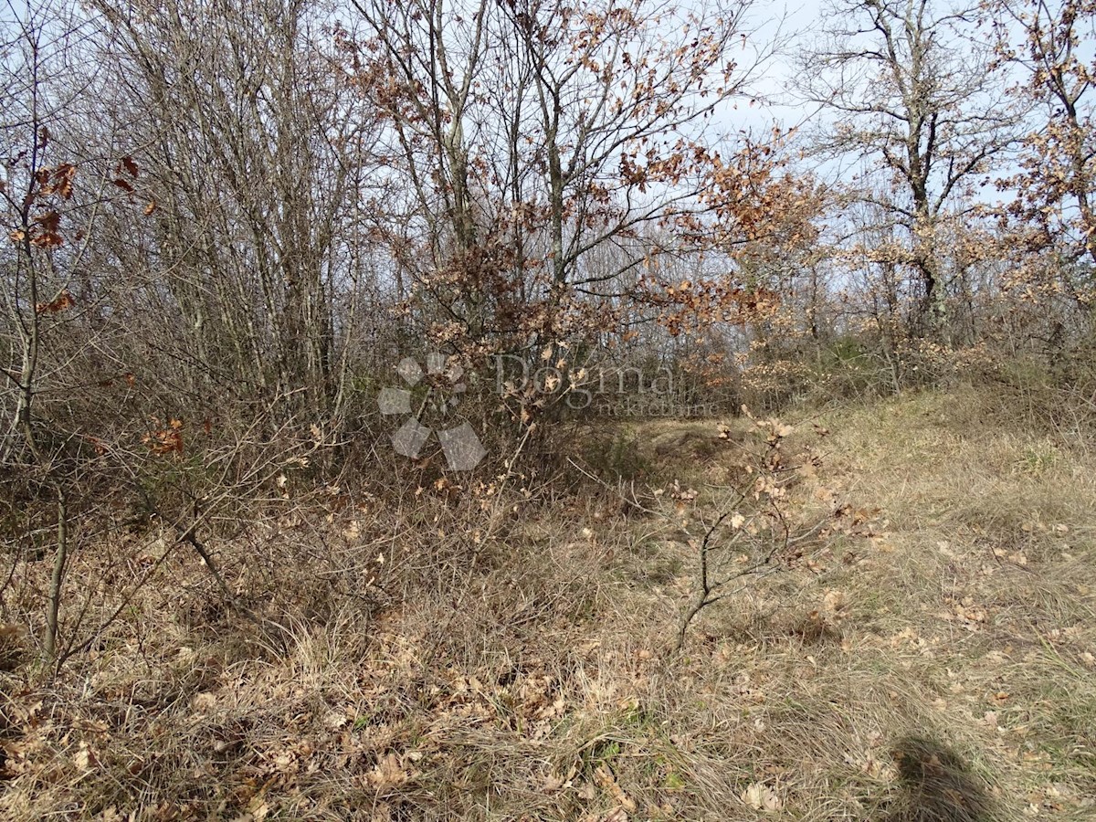 Terreno Juršići, Svetvinčenat, 3.500m2