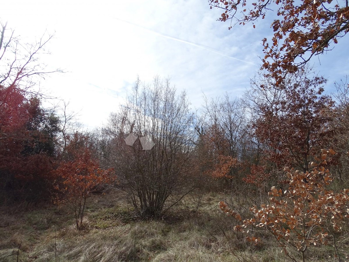 Terreno Juršići, Svetvinčenat, 3.500m2