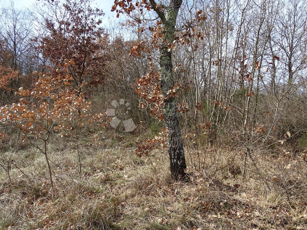 Terreno Juršići, Svetvinčenat, 3.500m2