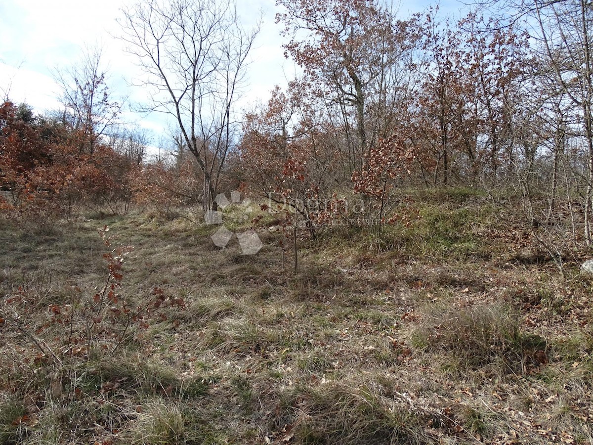 Terreno Juršići, Svetvinčenat, 3.500m2