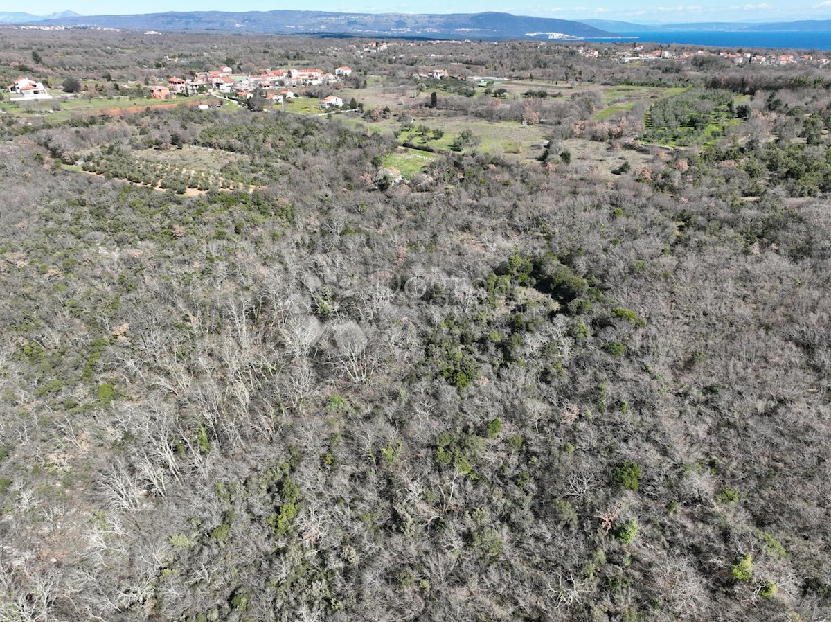 Terreno Krnica, Marčana, 19.947m2