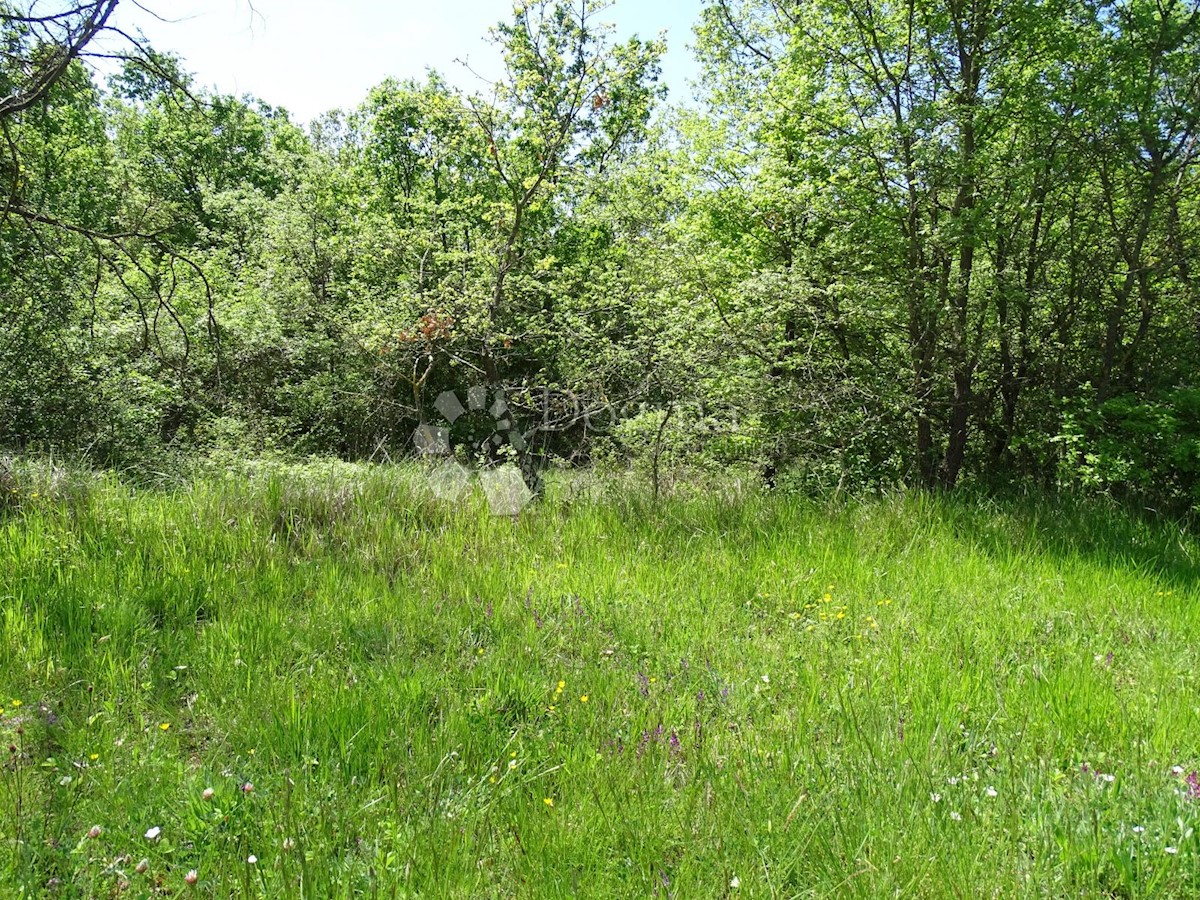 Terreno Cvitani, Višnjan, 676m2