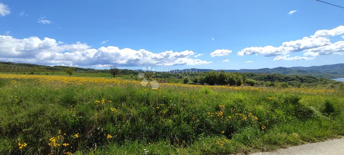 Terreno Kršikla, Pazin - Okolica, 57.500m2