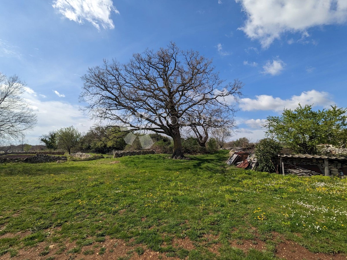 Casa Vodnjan, 186,55m2