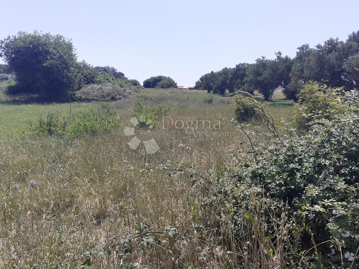 Terreno Bibinje, 1.073m2