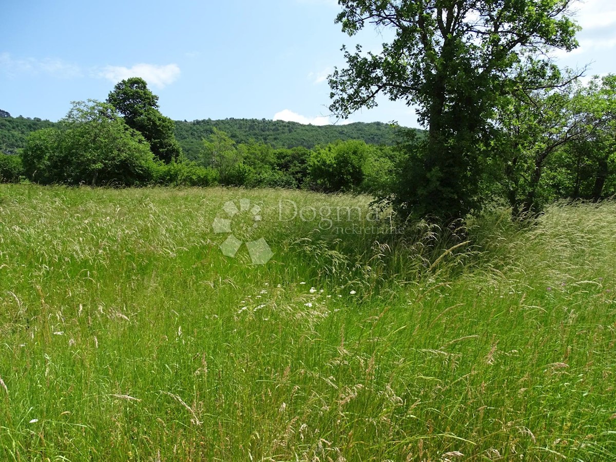 Casa Roč, Buzet, 405m2