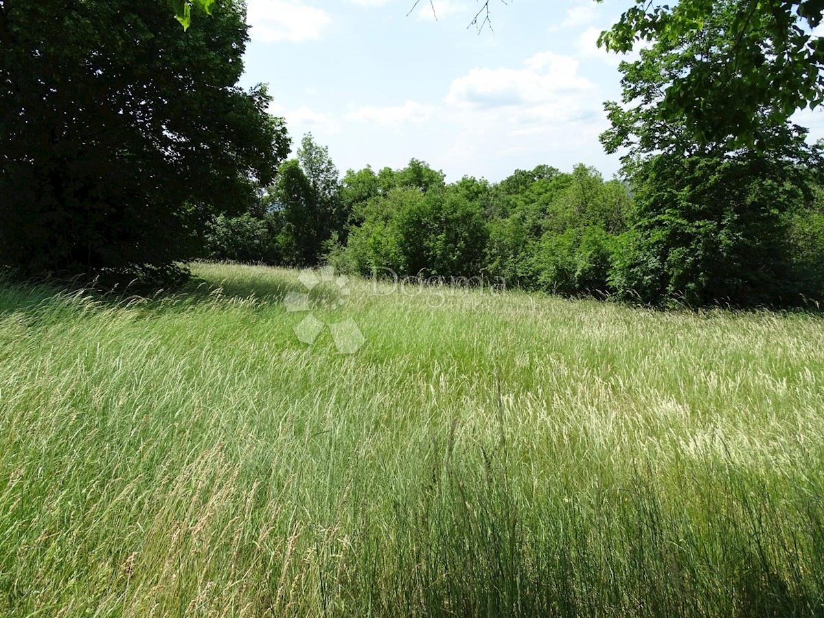 Casa Roč, Buzet, 405m2