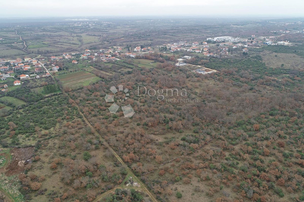 Terreno Briševo, Poličnik, 7.343m2