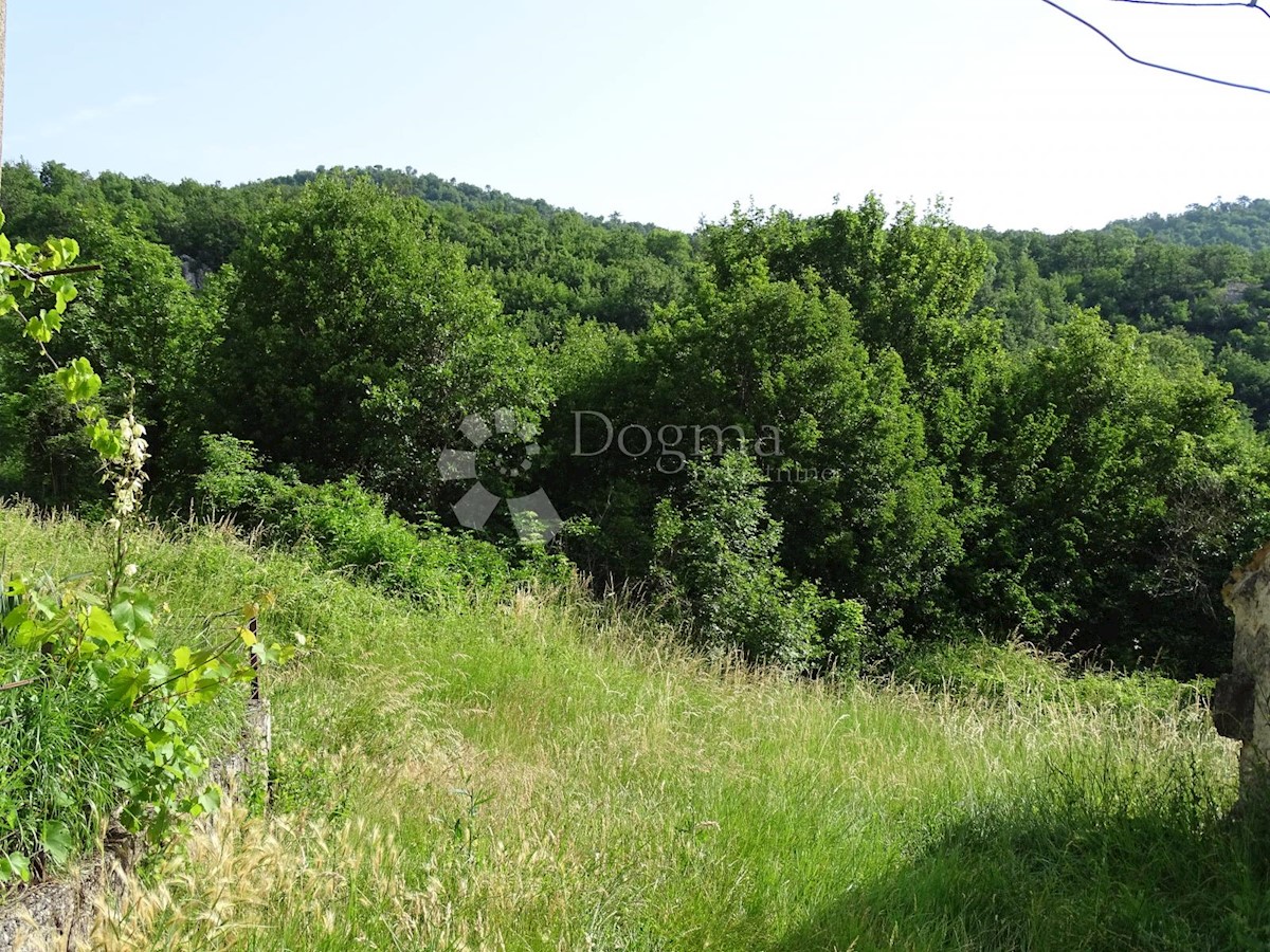 Terreno Ročko Polje, Buzet, 5.433m2