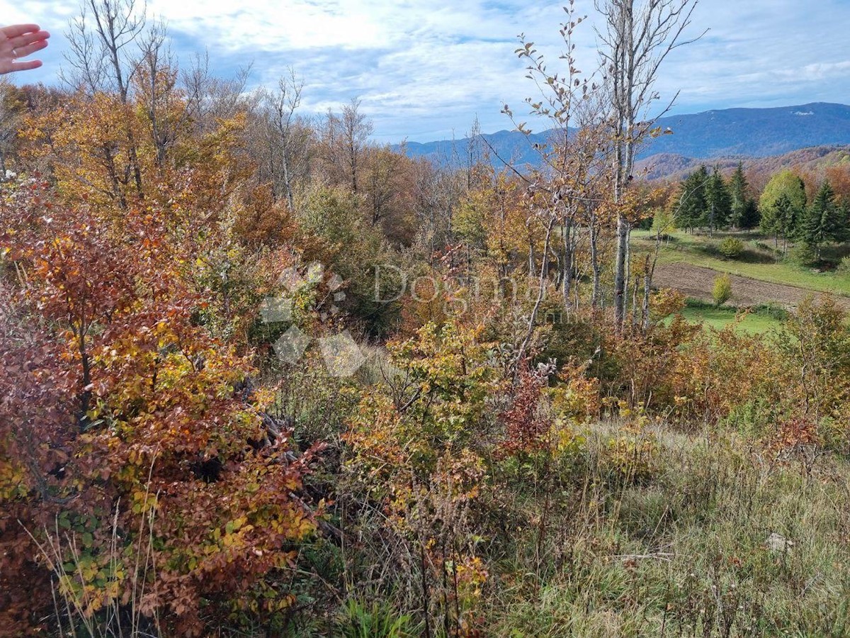 Terreno Mrkopalj, 3.000m2