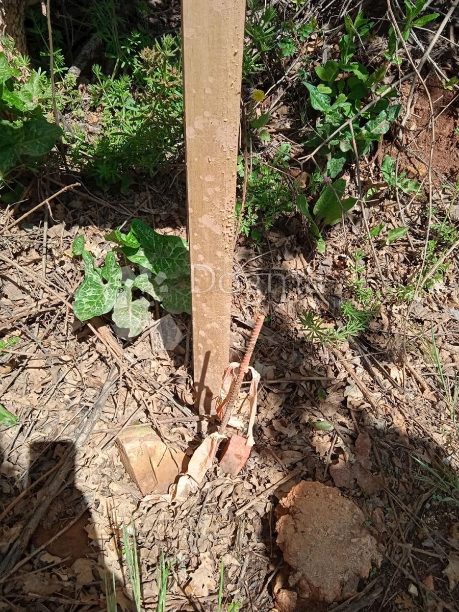 Terreno Muntić, Ližnjan, 3.508m2