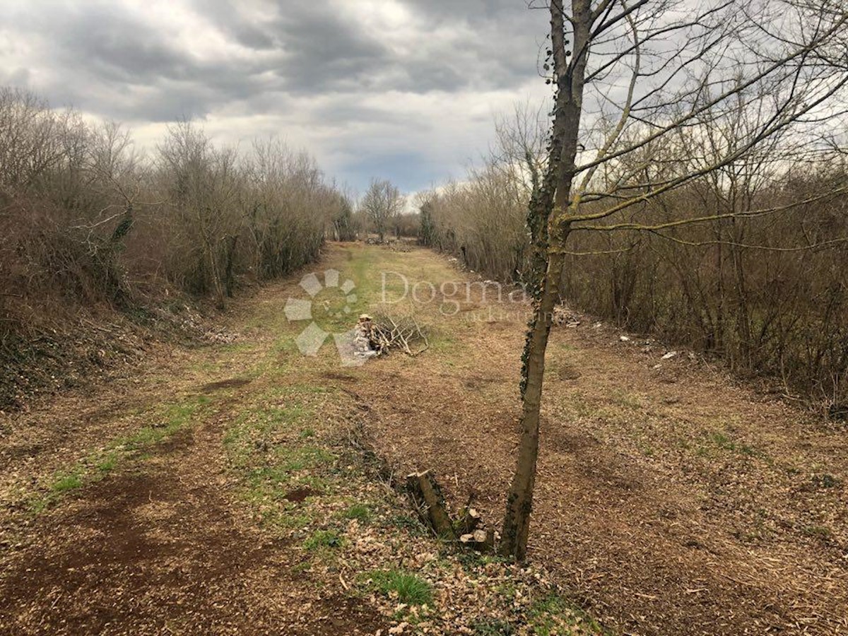 Terreno Nedešćina, Sveta Nedelja, 3.795m2