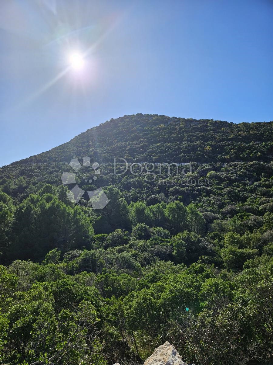 Terreno Tkon, 1.370m2