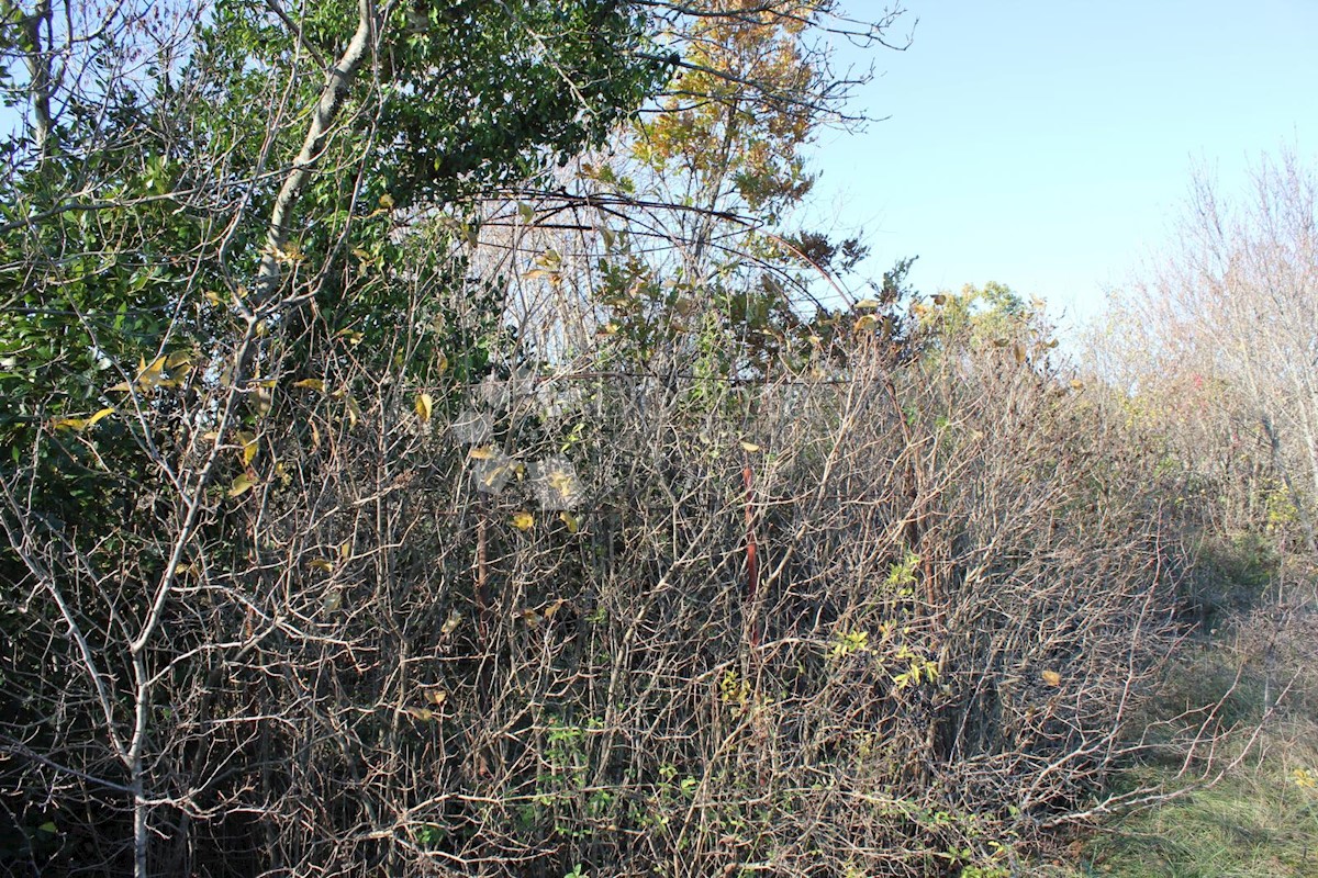 Terreno Filipana, Marčana, 1.597m2