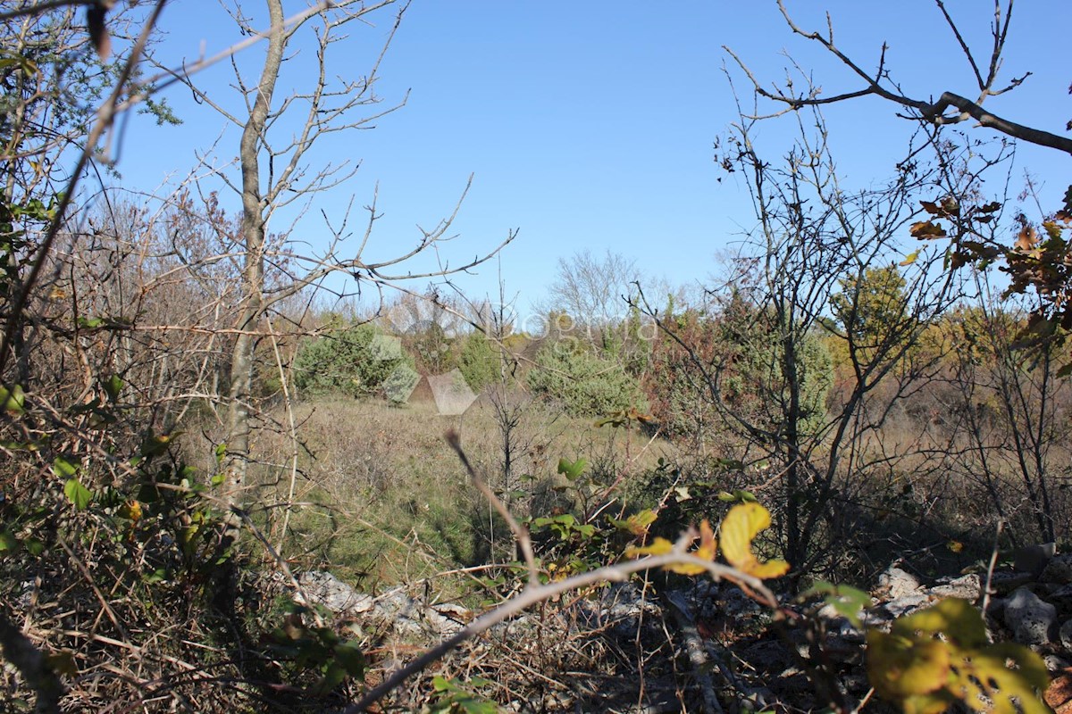 Terreno Filipana, Marčana, 1.597m2