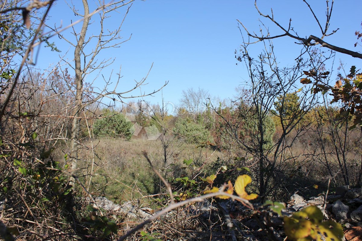 Terreno Filipana, Marčana, 1.597m2