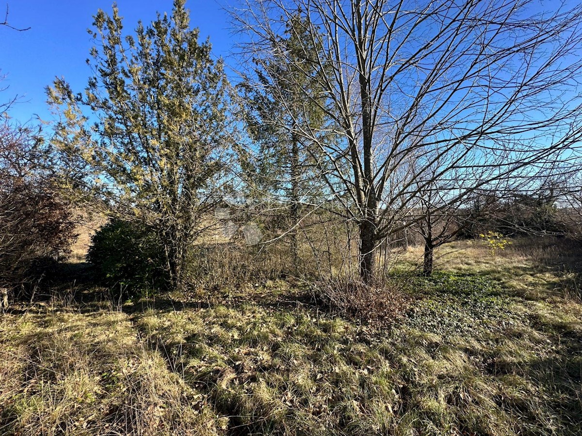 Terreno Zabrežani, Pazin - Okolica, 2.582m2