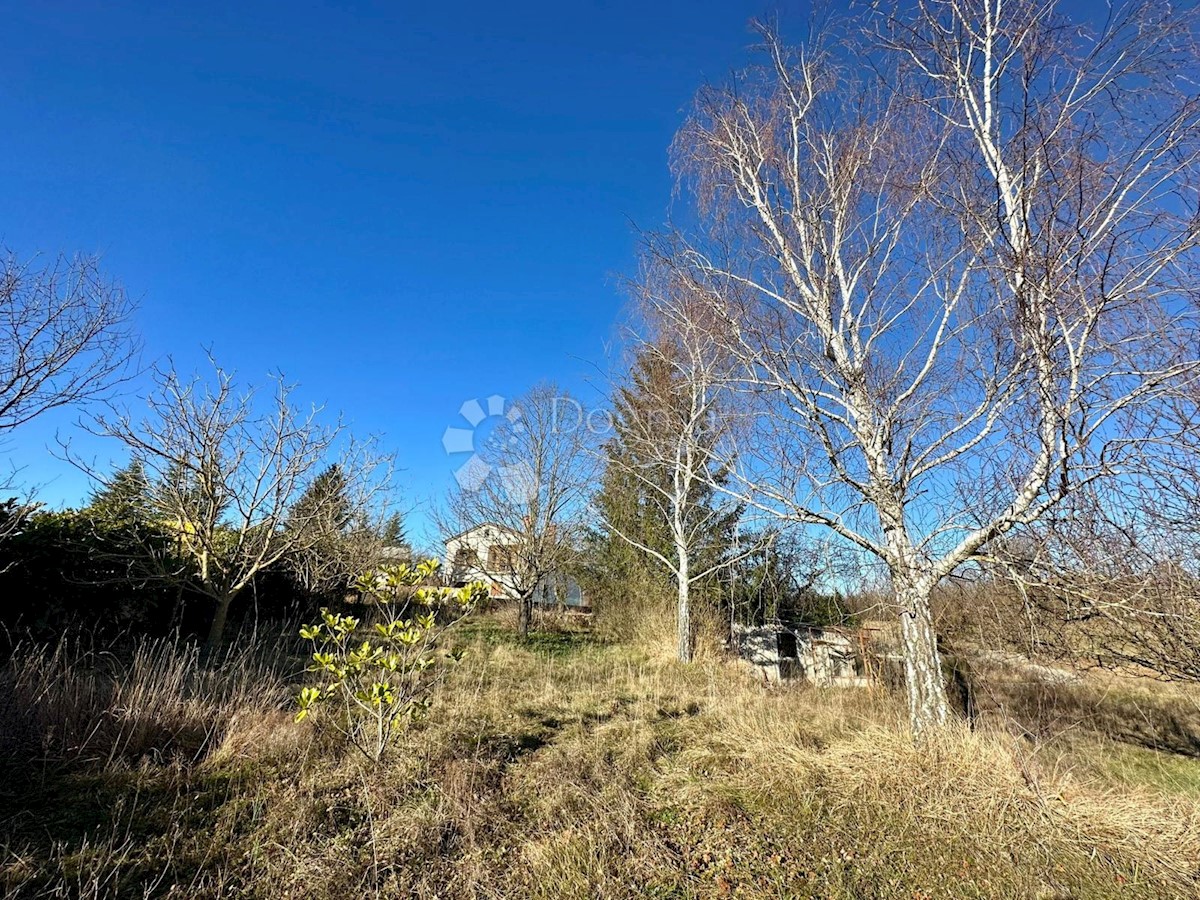 Terreno Zabrežani, Pazin - Okolica, 2.582m2