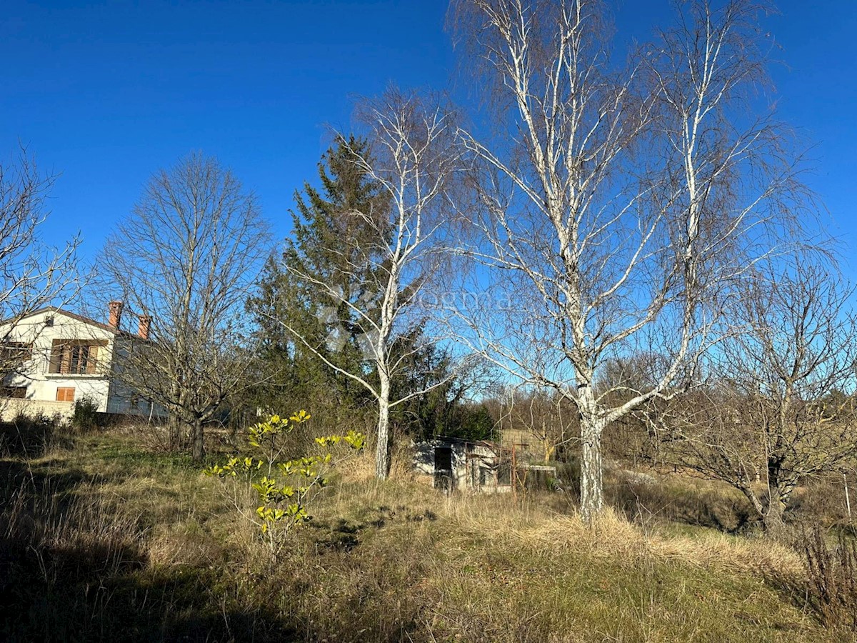 Terreno Zabrežani, Pazin - Okolica, 2.582m2