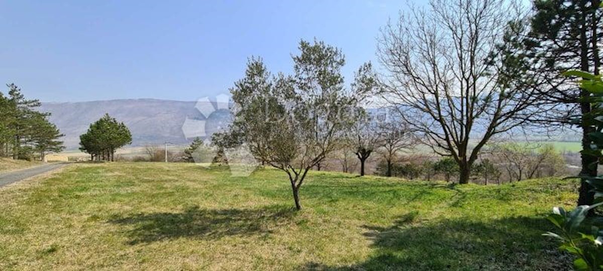 Casa con 2 appartamenti e un ampio giardino edificabile