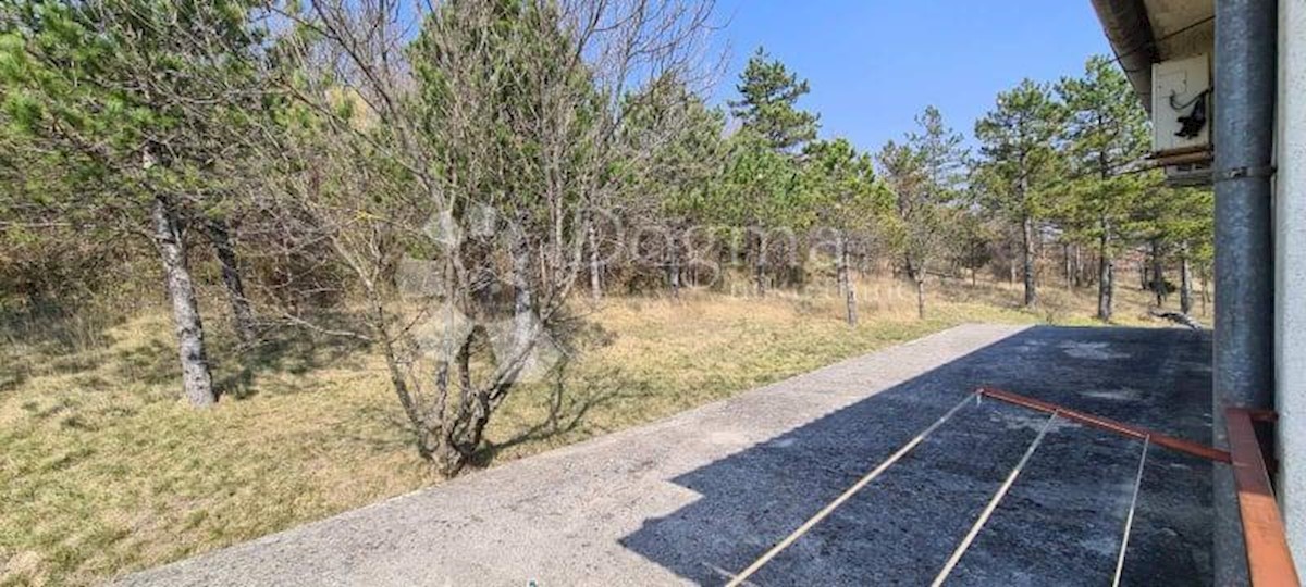 Casa con 2 appartamenti e un ampio giardino edificabile