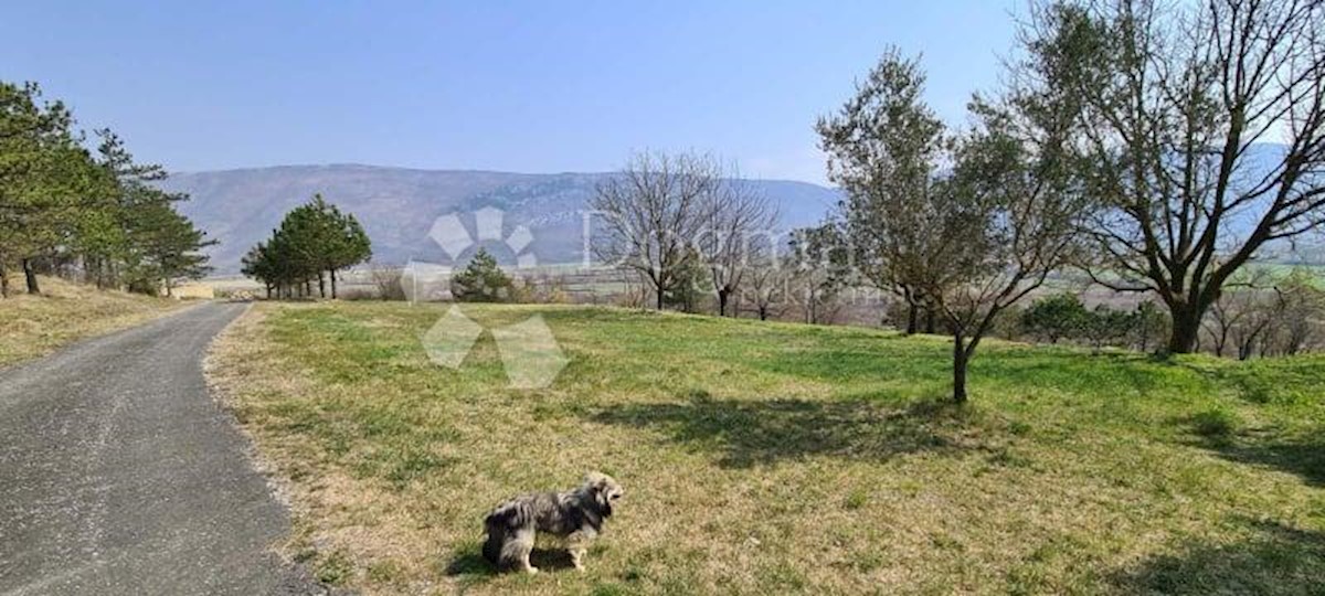 Casa con 2 appartamenti e un ampio giardino edificabile