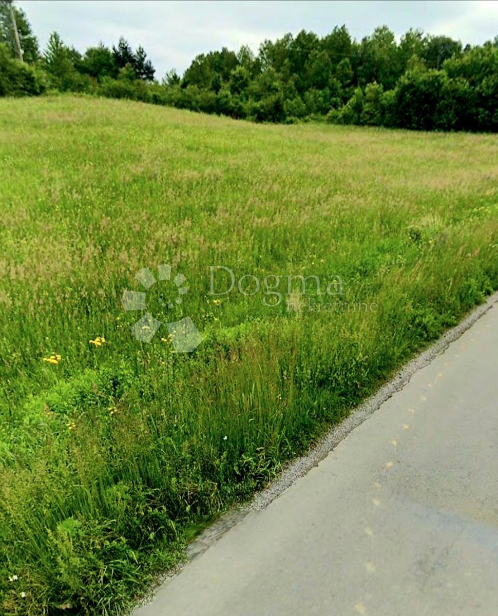 Terreno Latin, Plaški, 19.000m2