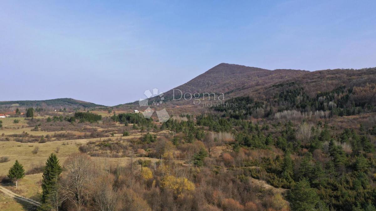 Terreno Latin, Plaški, 19.000m2