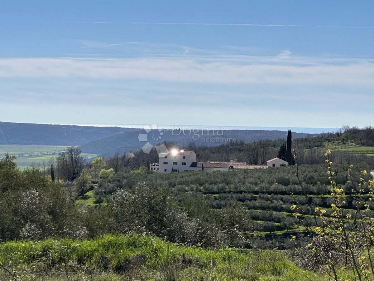 TERRENO CON VISTA MARE E OLIVETI