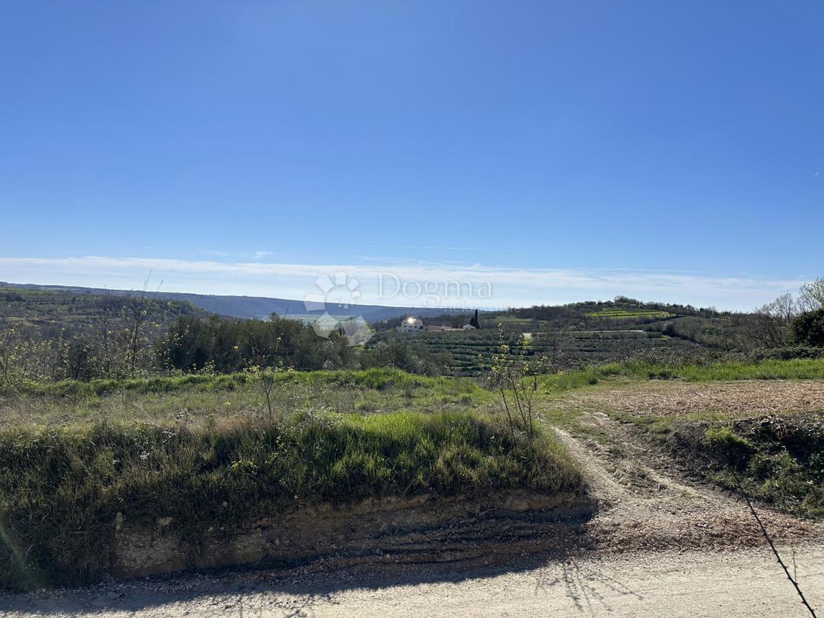 TERRENO CON VISTA MARE E OLIVETI