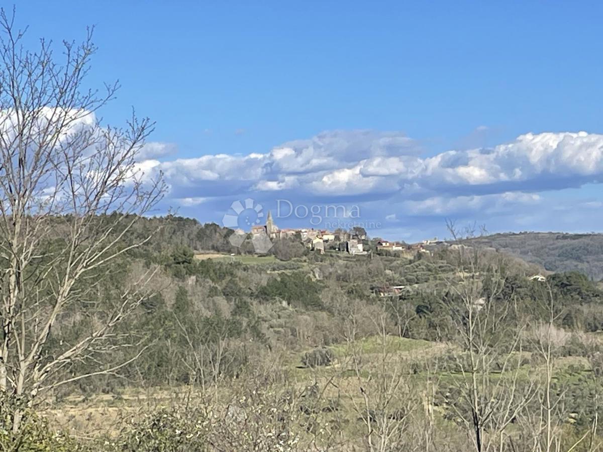 TERRENO CON VISTA MARE E OLIVETI