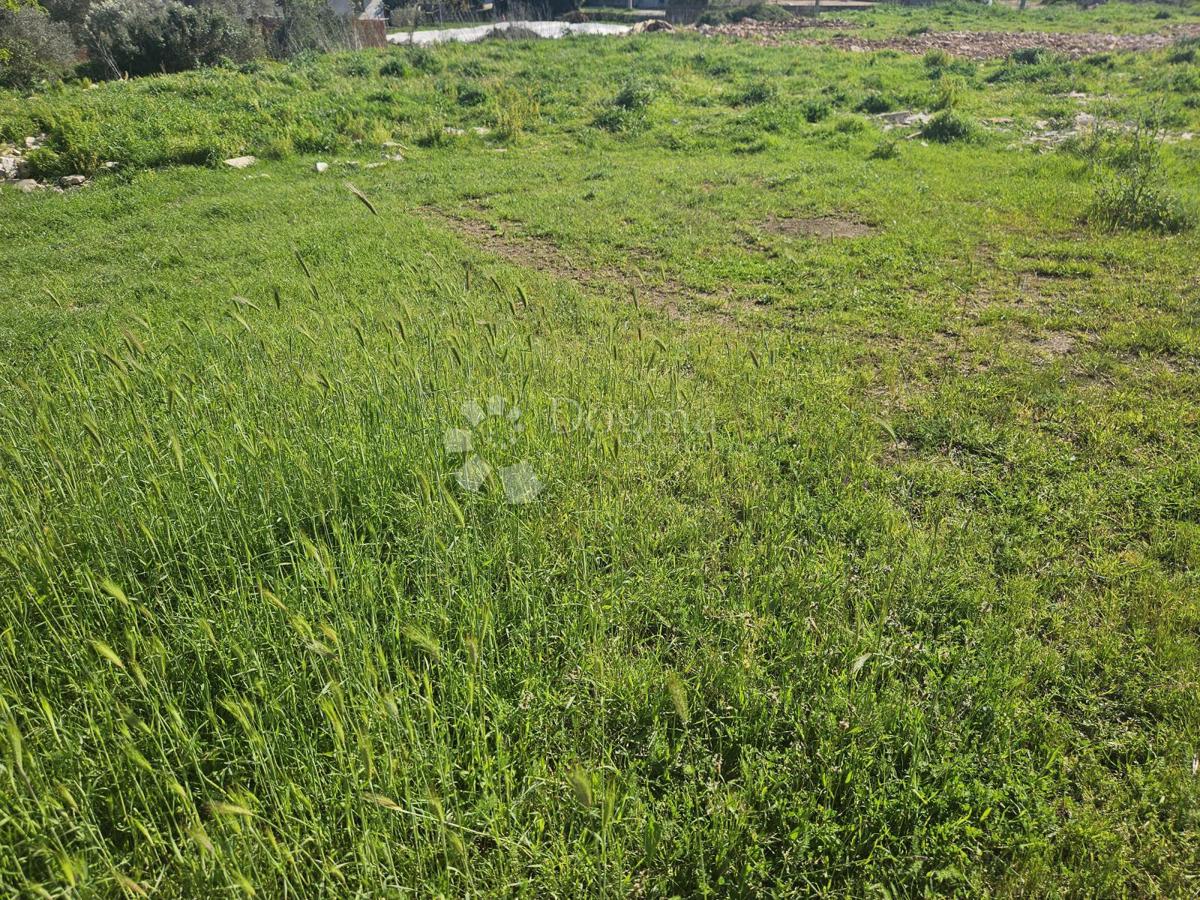 Terreno Sikovo, Sveti Filip I Jakov, 2.200m2